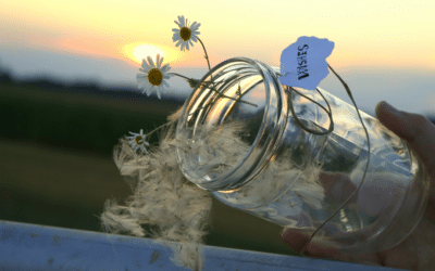 Magische Rauhnächte